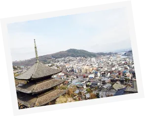 街を見下ろしています天寧寺や海雲塔